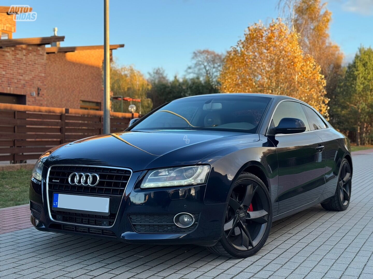 Audi A5 8T3 2008 m