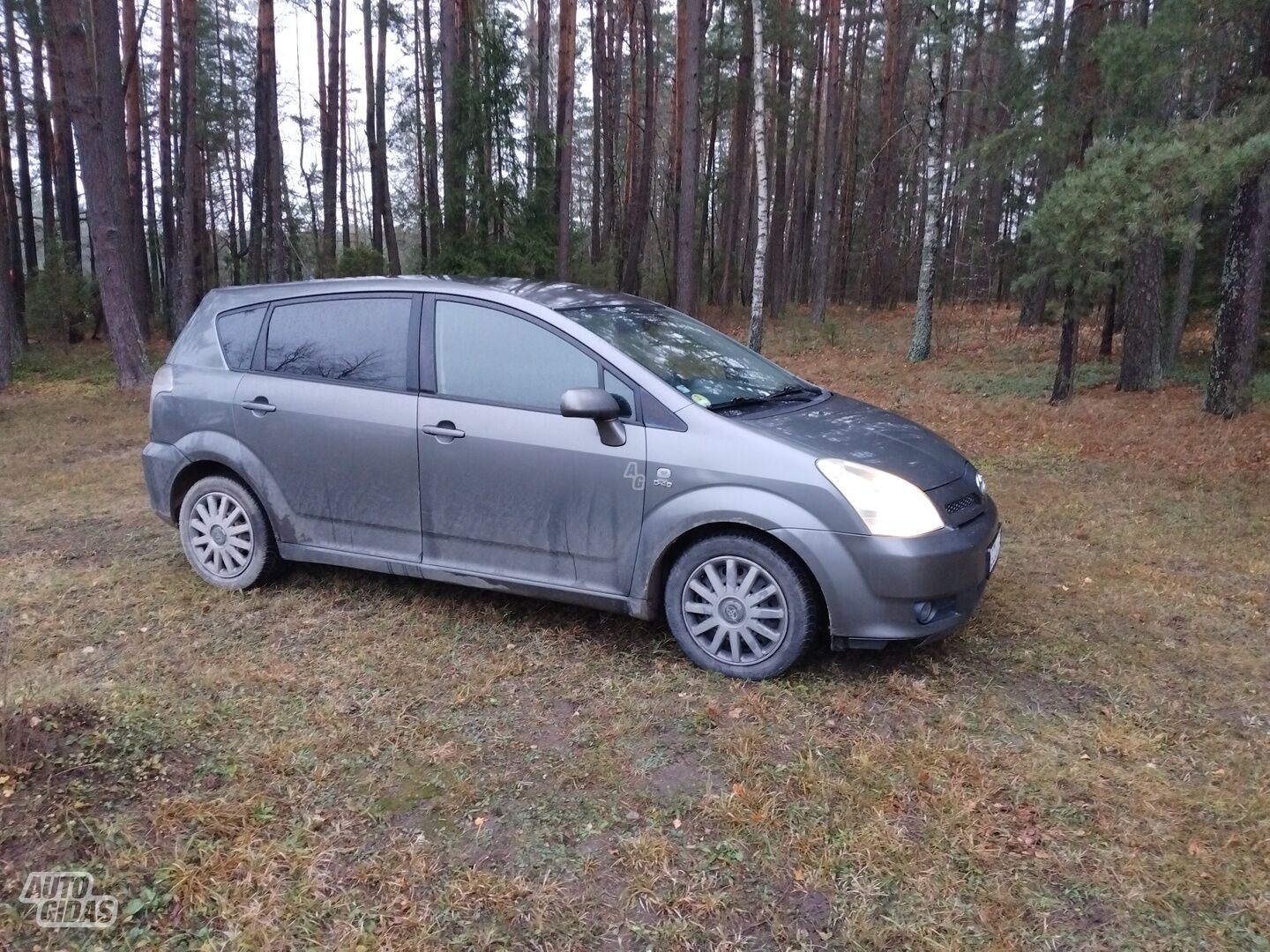 Toyota Corolla Verso 2005 y Van