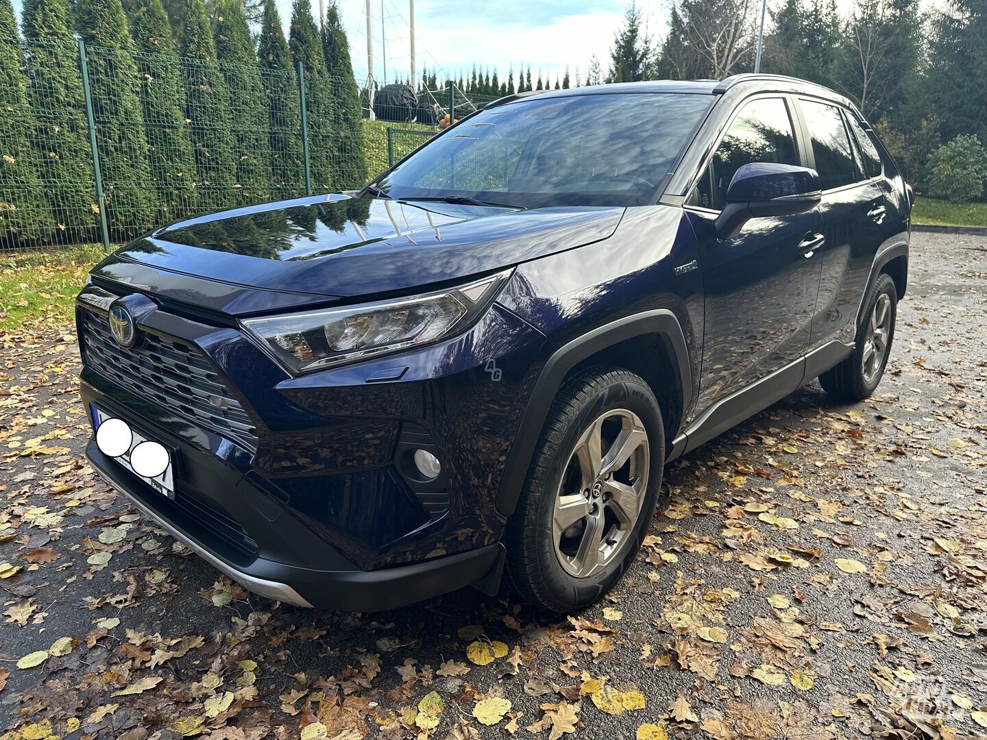 Toyota RAV4 2020 m Visureigis / Krosoveris