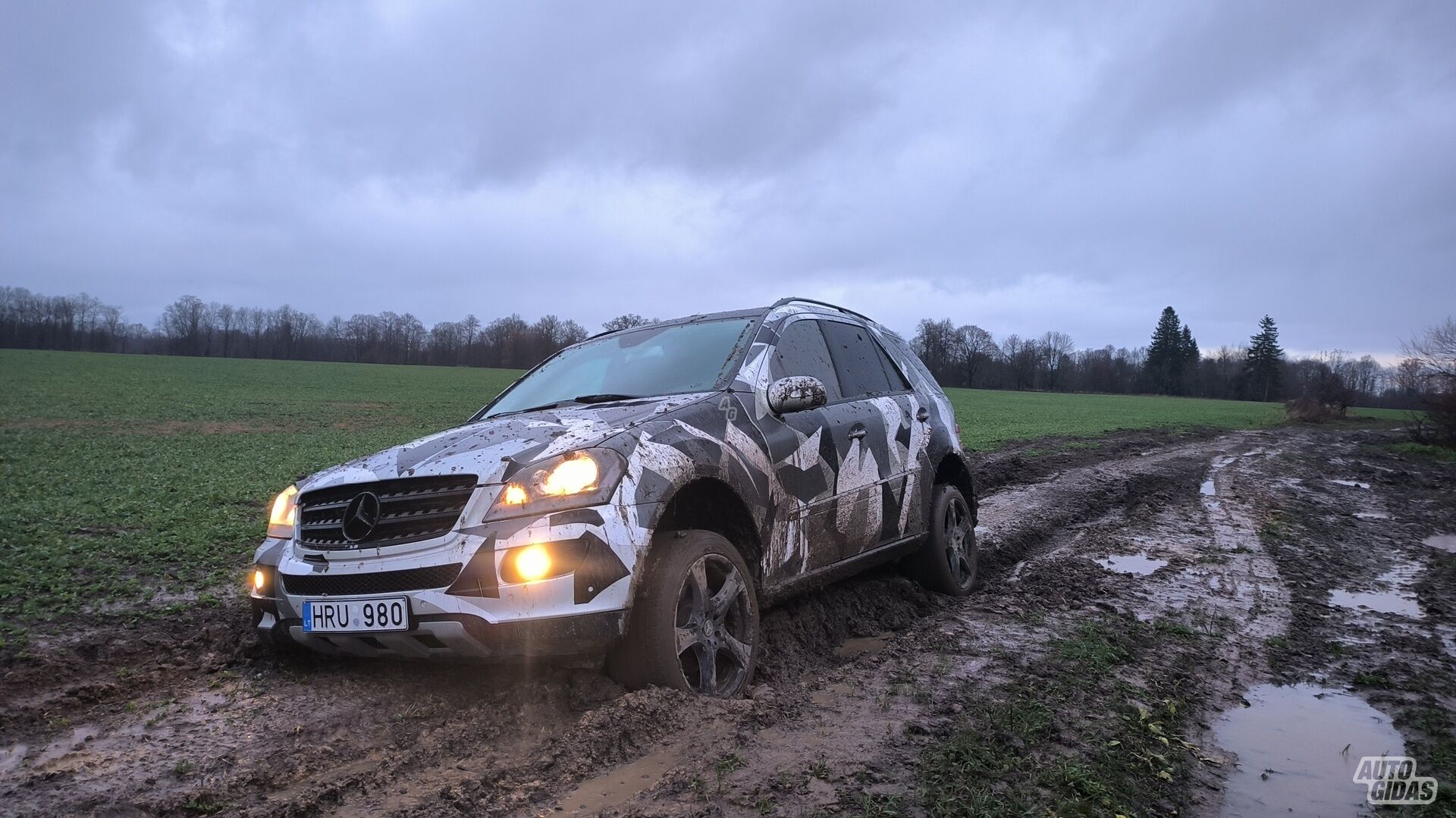 Mercedes-Benz ML 320 2006 y Off-road / Crossover