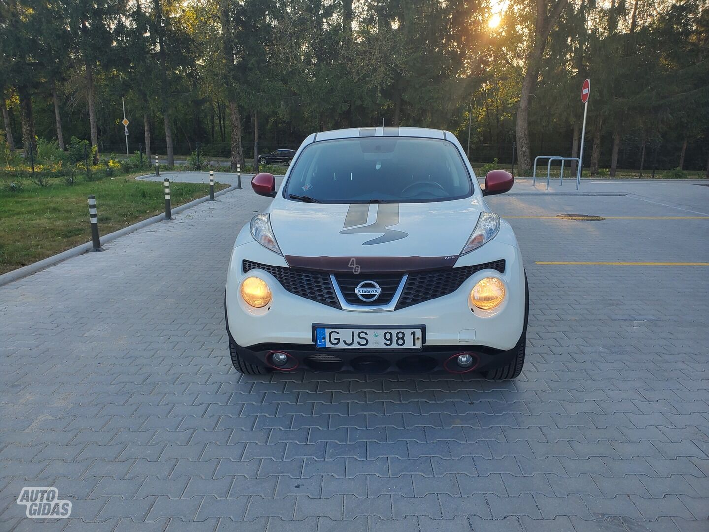 Nissan Juke I 2013 m