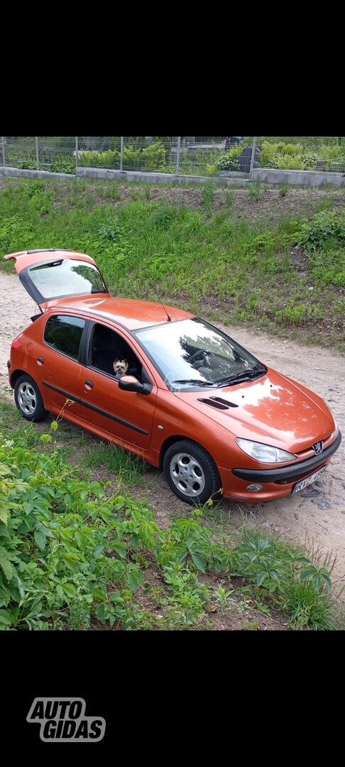 Peugeot 206 2001 m Hečbekas