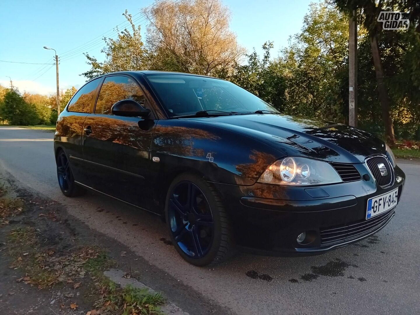 Seat Ibiza 2004 y Hatchback