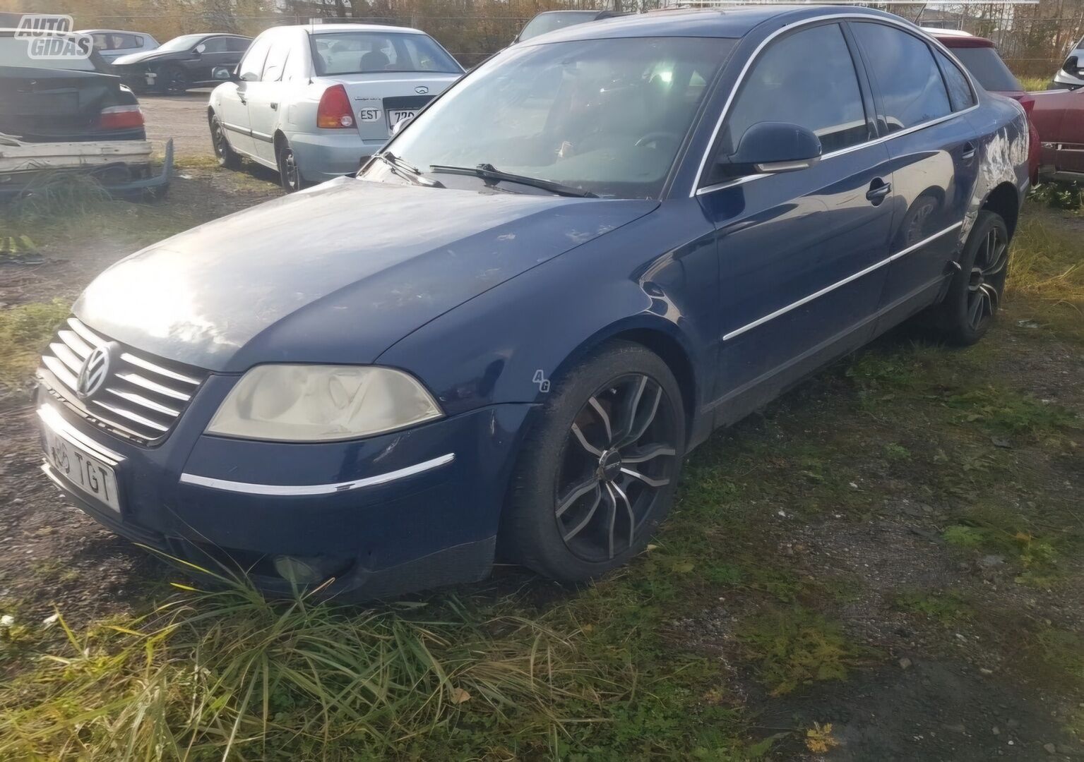 Volkswagen Passat B5.5 2004 y