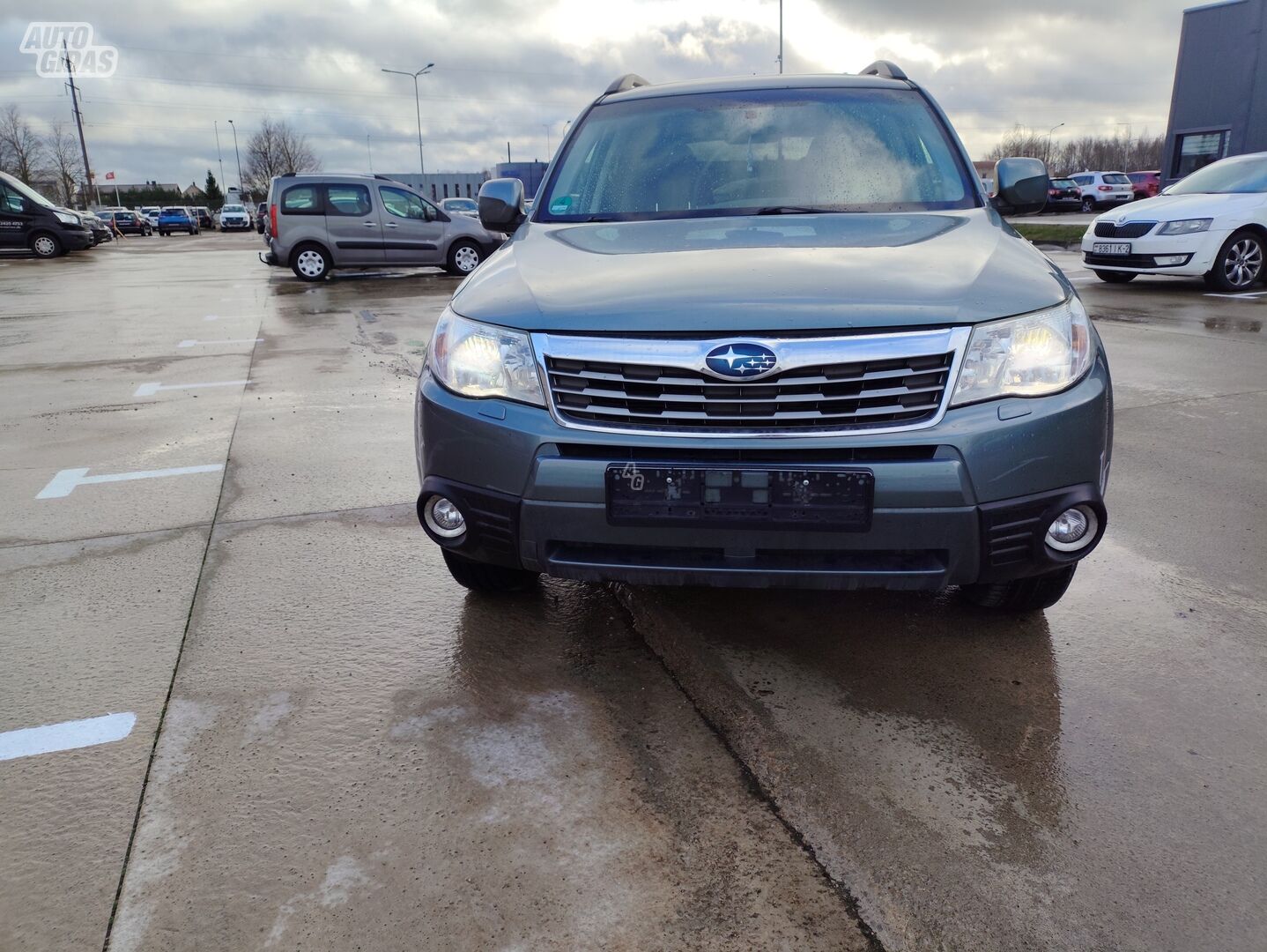 Subaru Forester 2010 m Visureigis / Krosoveris