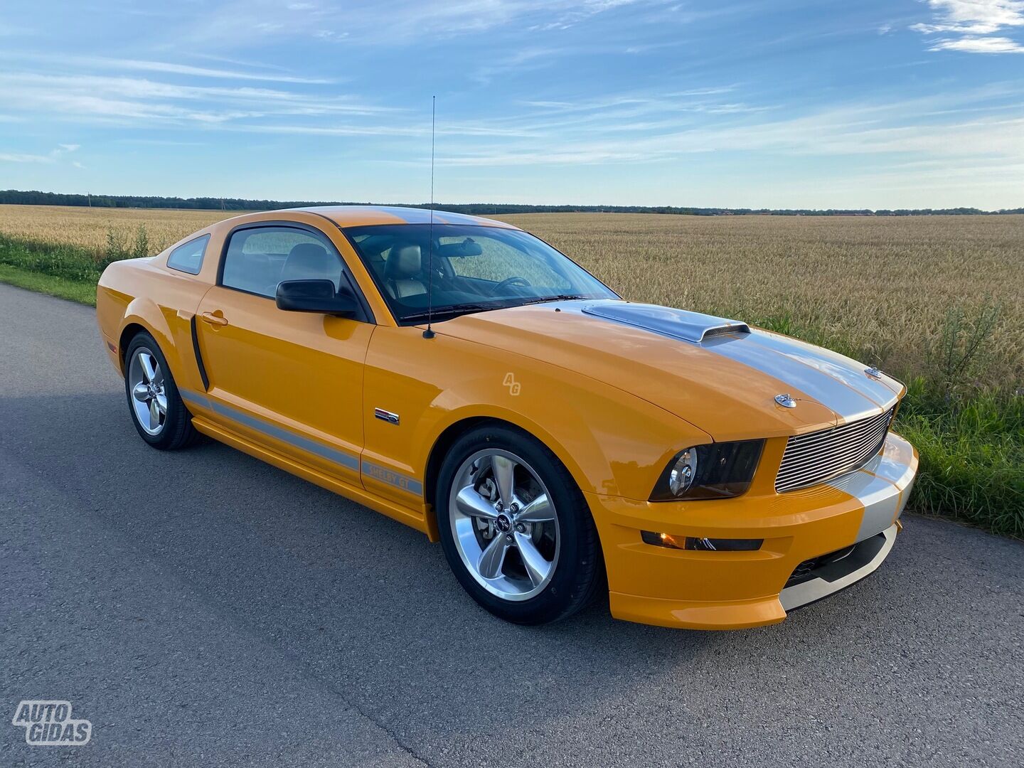 Ford Mustang V 2008 y