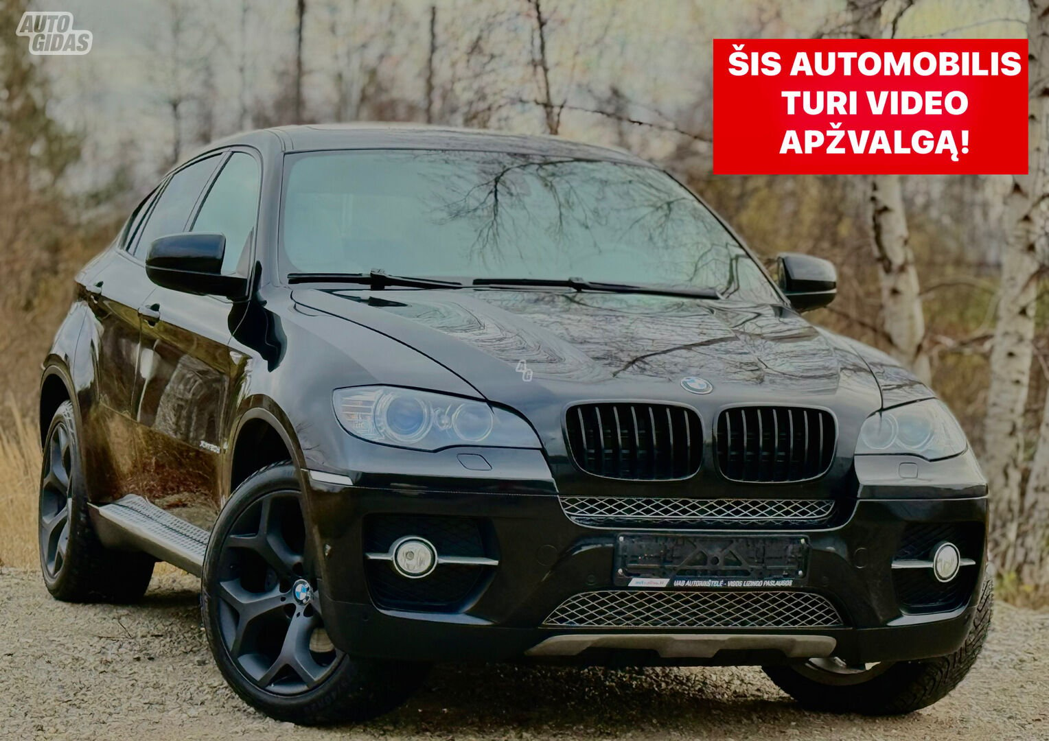 Bmw X6 2010 m Visureigis / Krosoveris