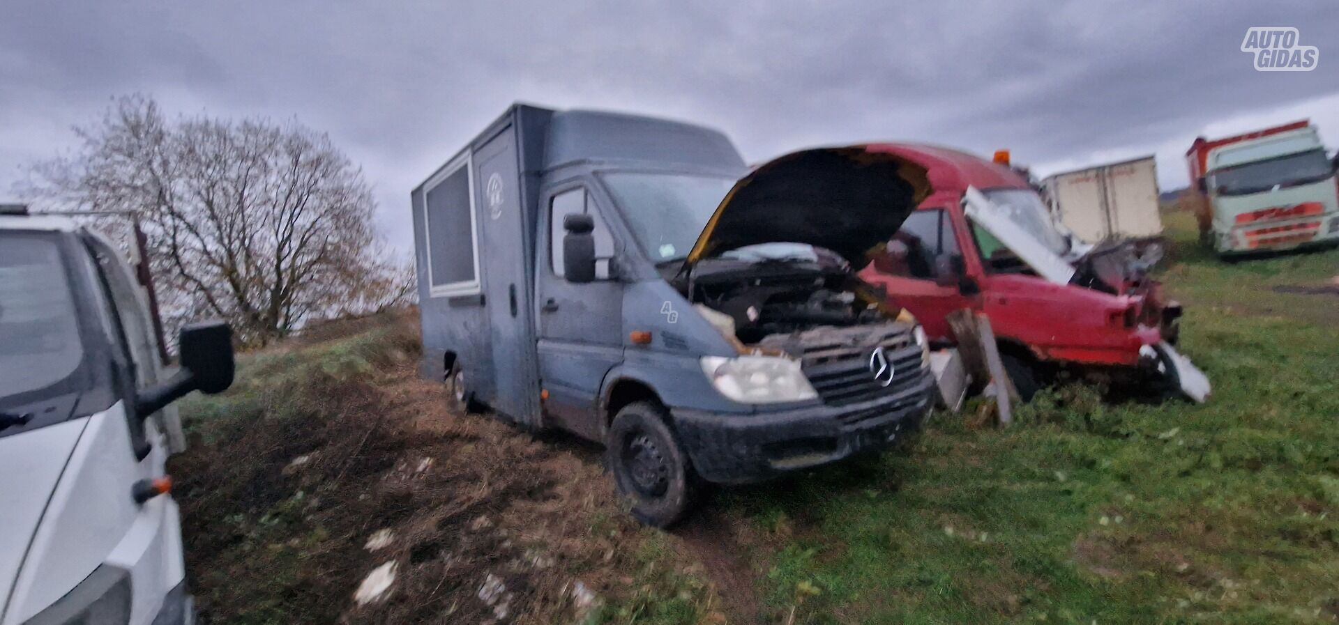 Mercedes-Benz 313 2004 m Furgonas