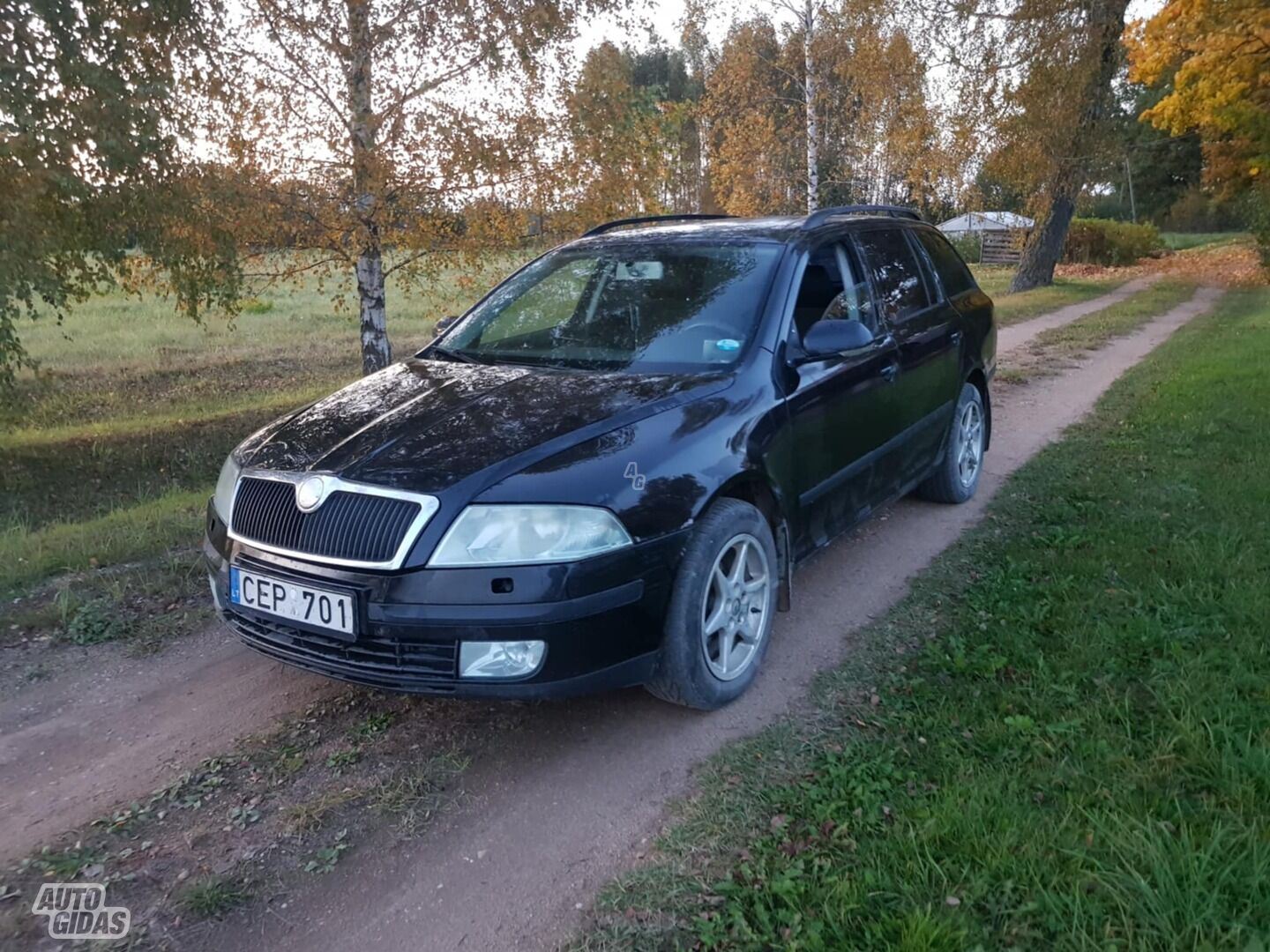 Skoda Octavia II Tdi 2006 m dalys