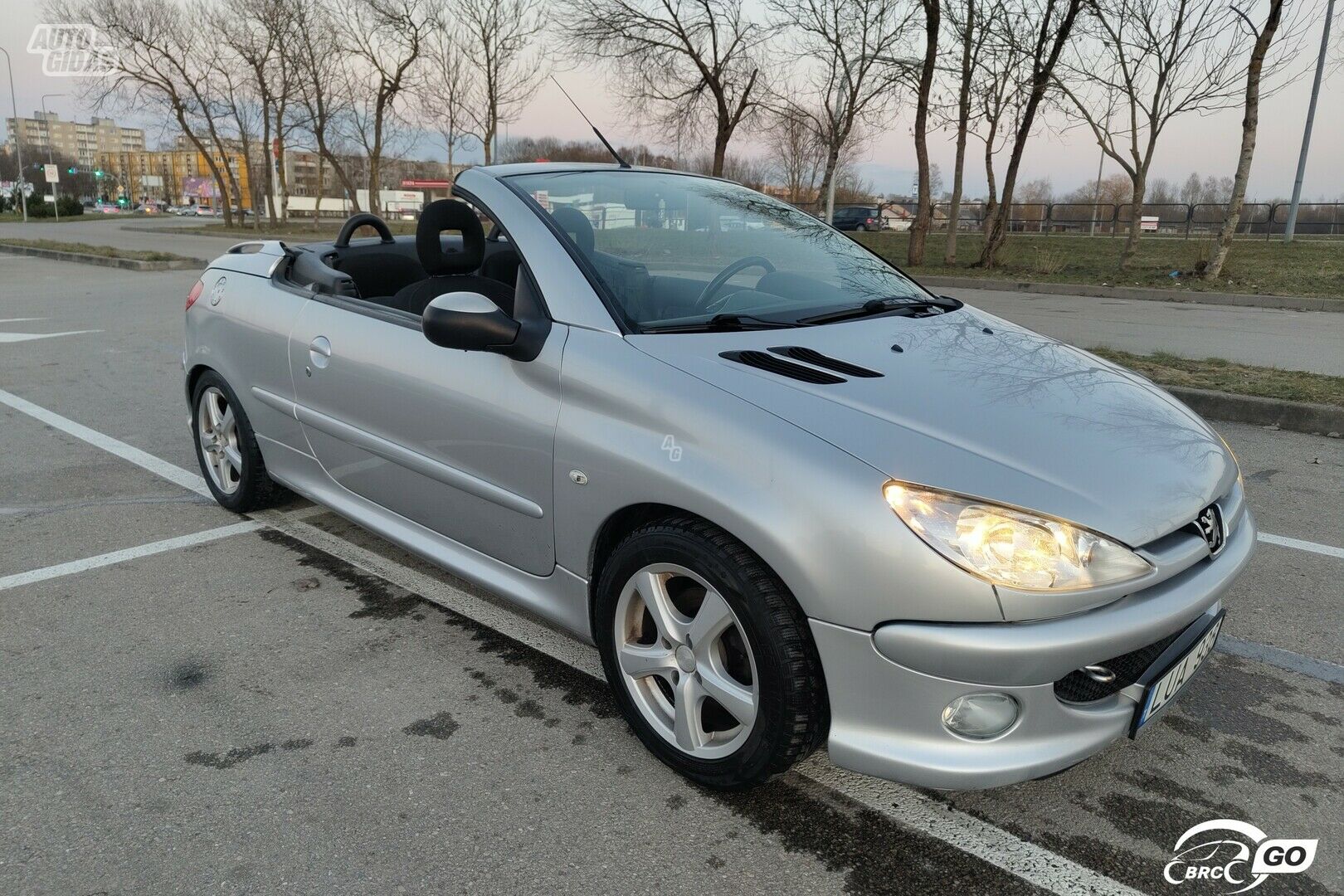 Peugeot 206 2006 y Convertible