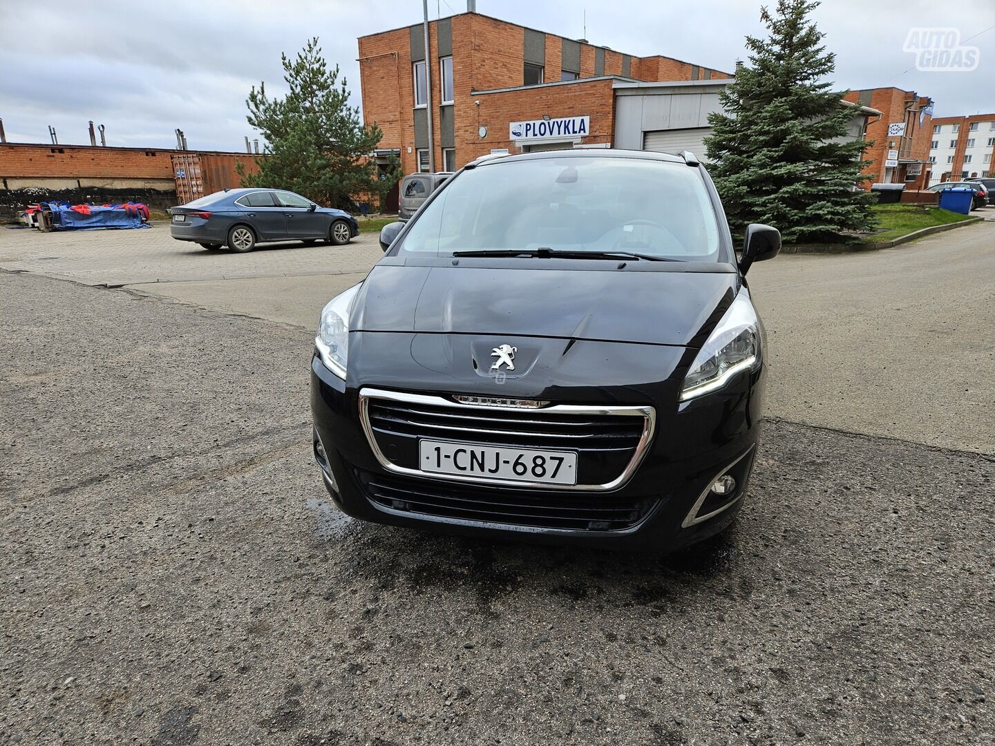 Peugeot 5008 2016 y Van