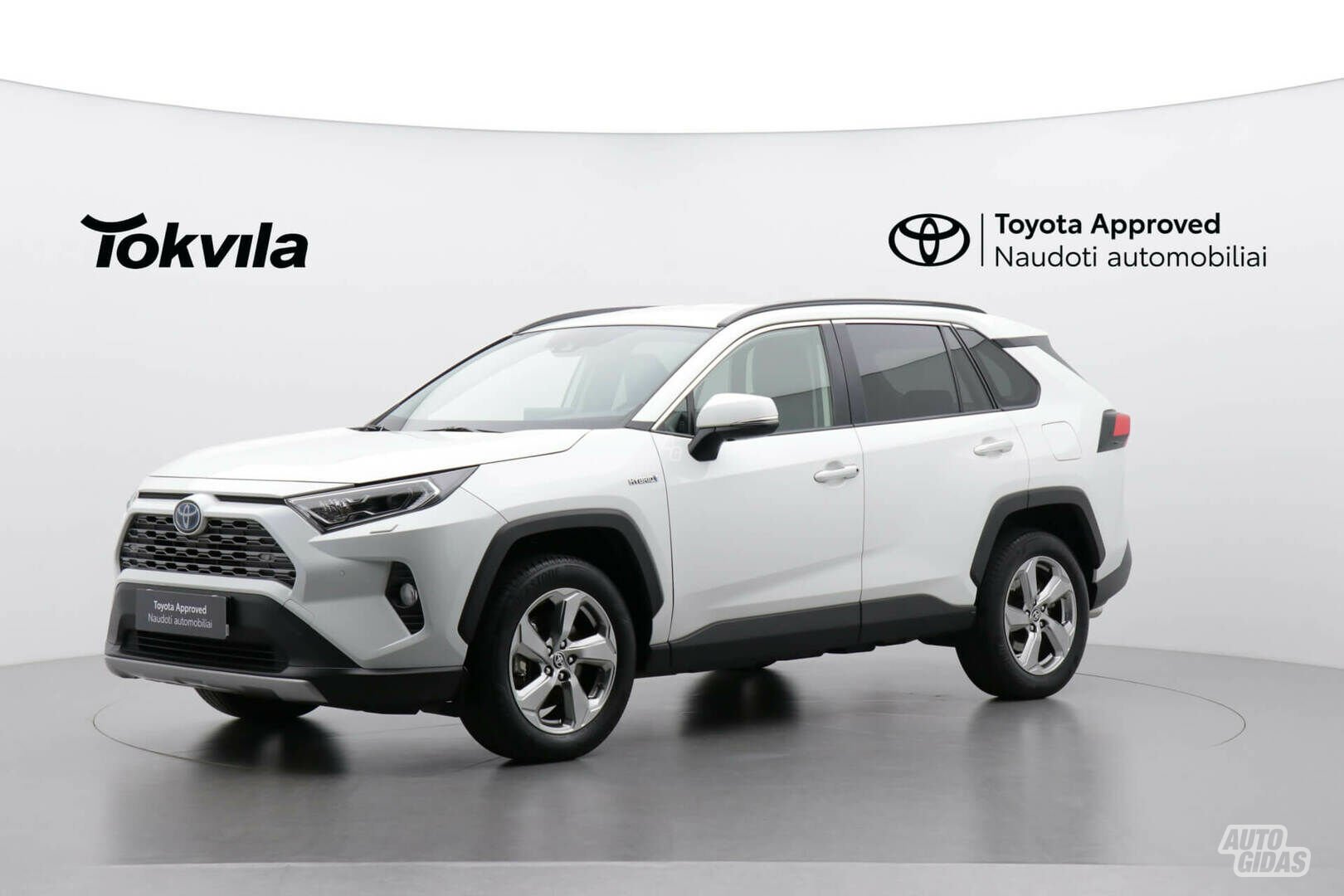 Toyota RAV4 2020 y Off-road / Crossover