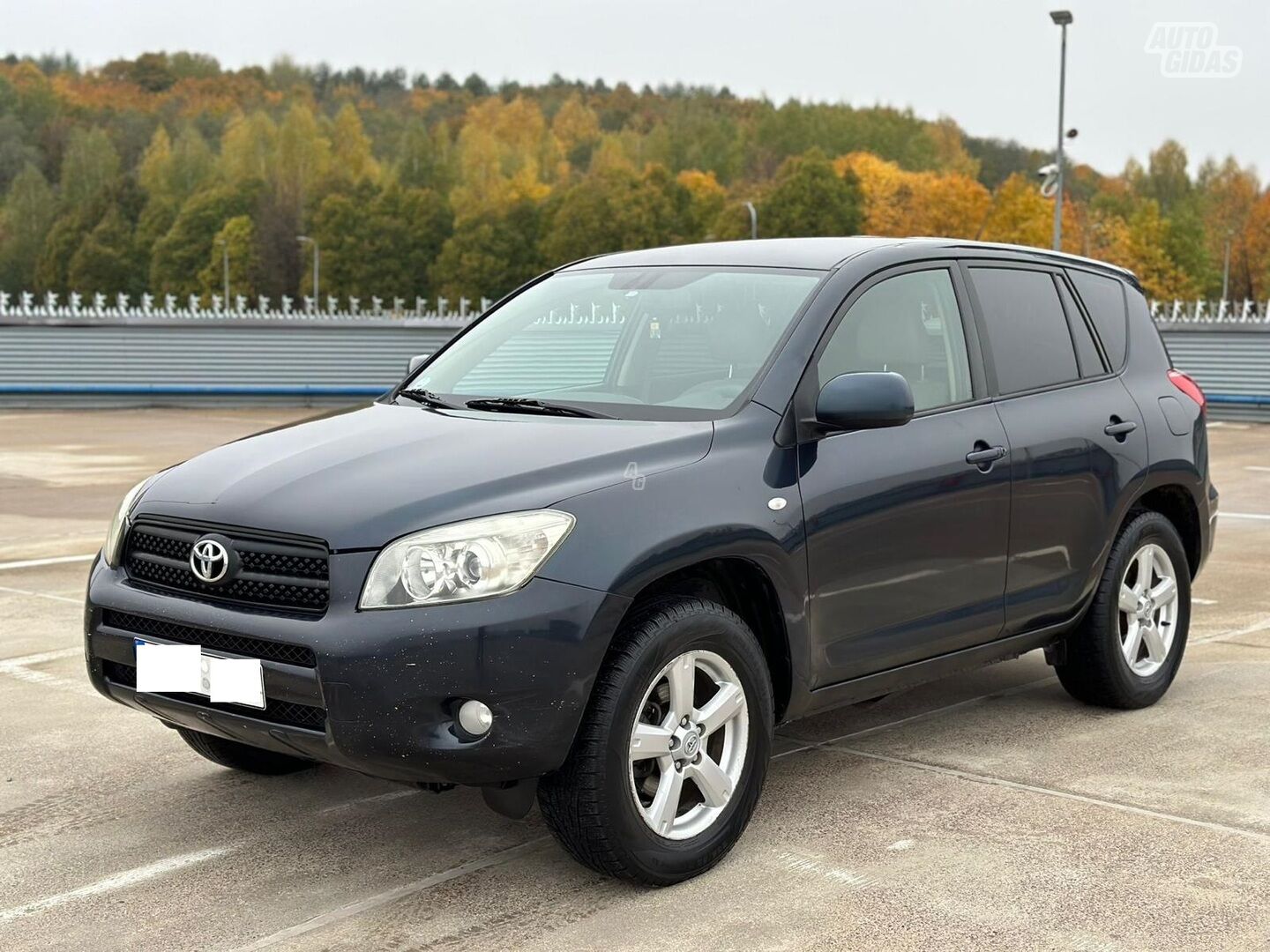 Toyota RAV4 D-4D Premium 2009 г