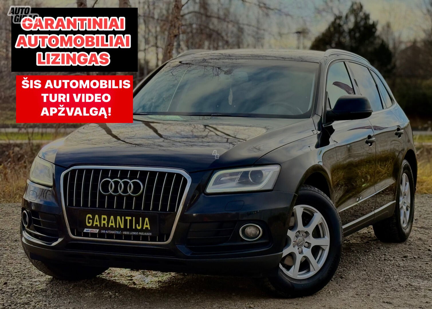 Audi Q5 2013 г Внедорожник / Кроссовер