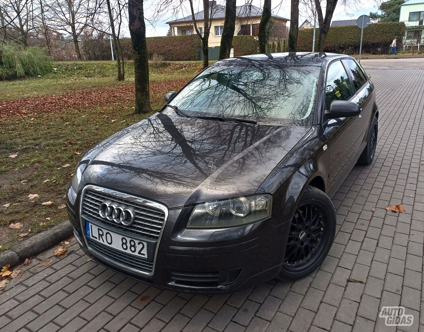 Audi A3 2005 m Hečbekas