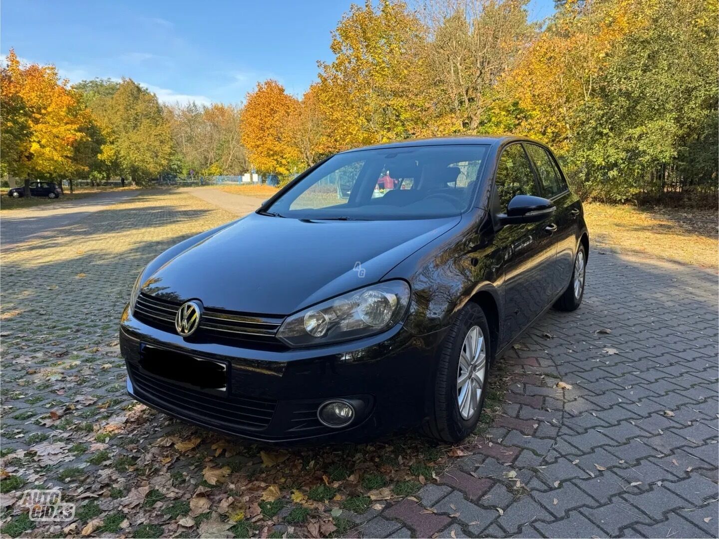 Volkswagen Golf 2010 г Хэтчбек