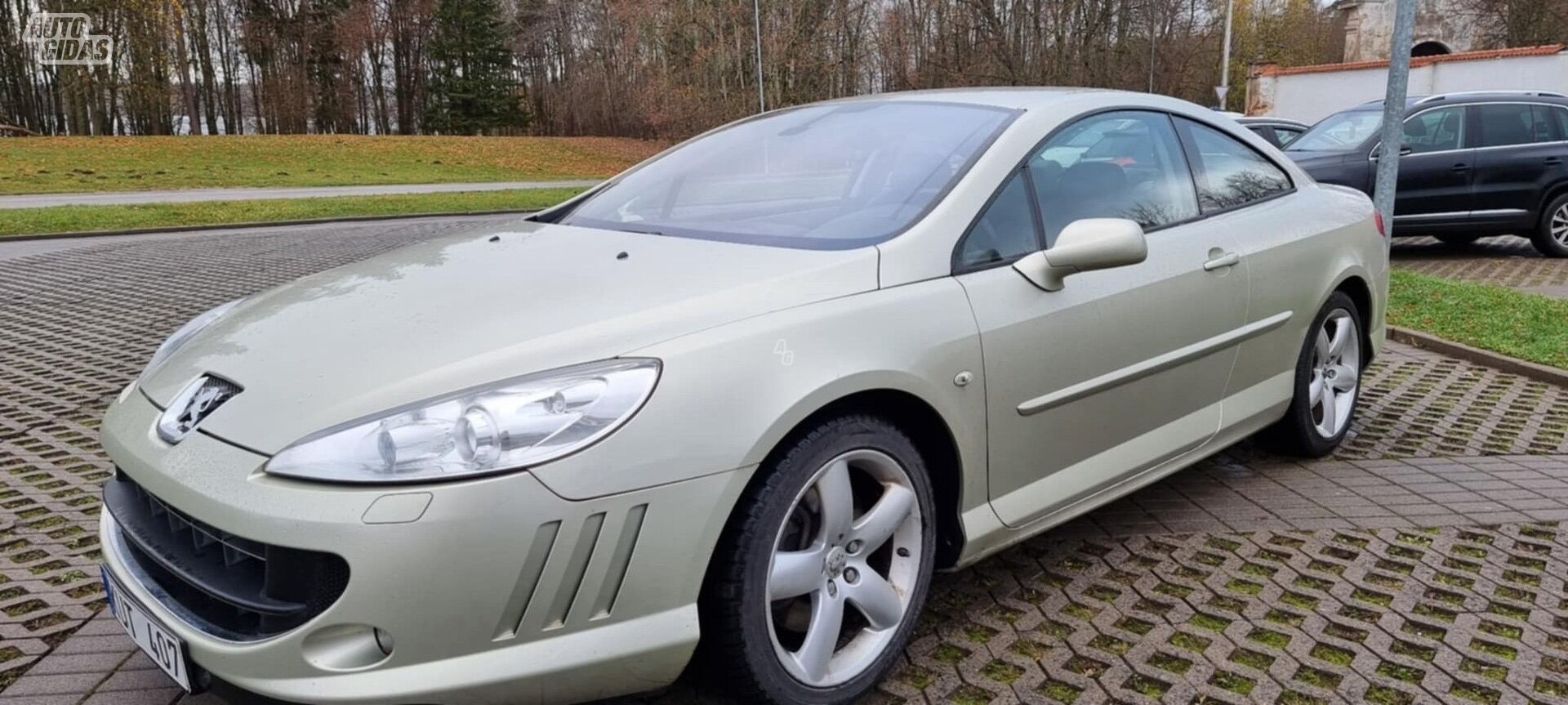 Peugeot 407 2007 m Coupe