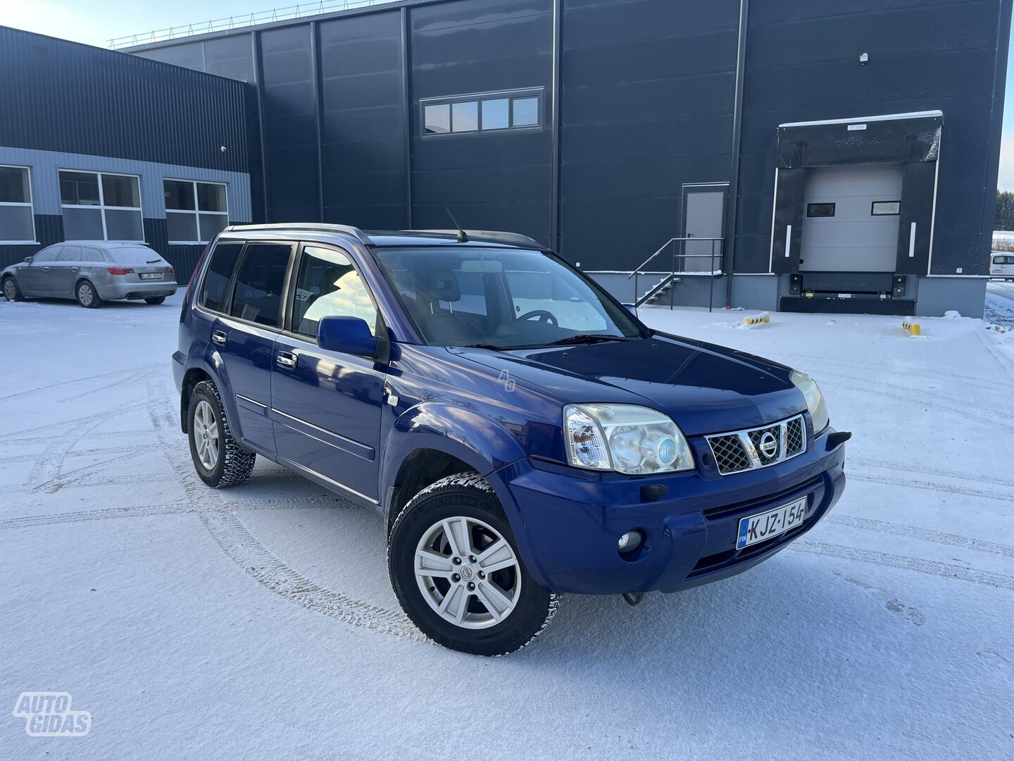 Nissan X-Trail 2004 г Внедорожник / Кроссовер