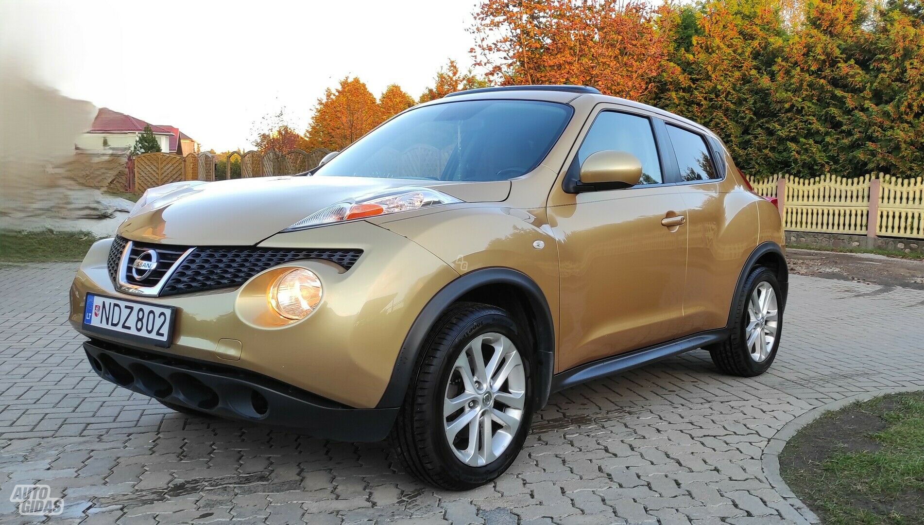 Nissan Juke I 2013 y