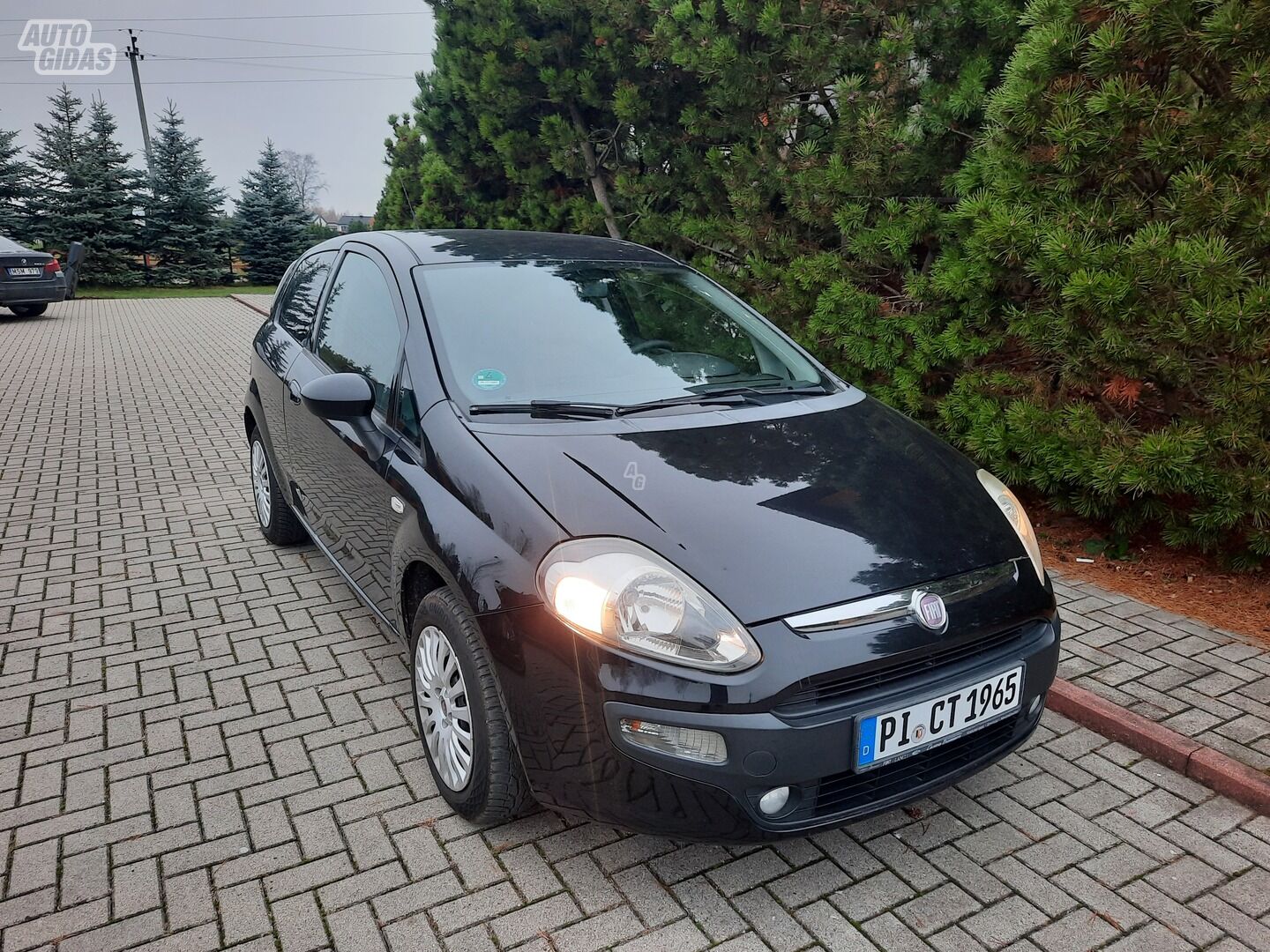 Fiat Punto Evo 2010 y Hatchback