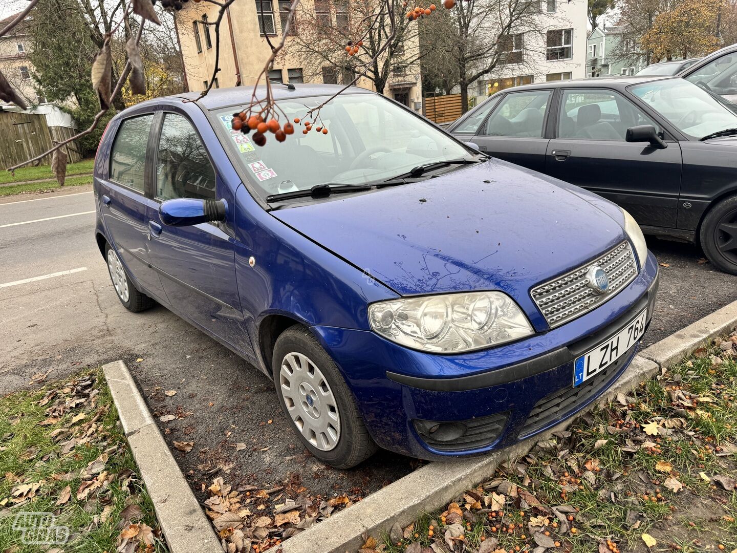 Fiat Punto 2007 y Hatchback