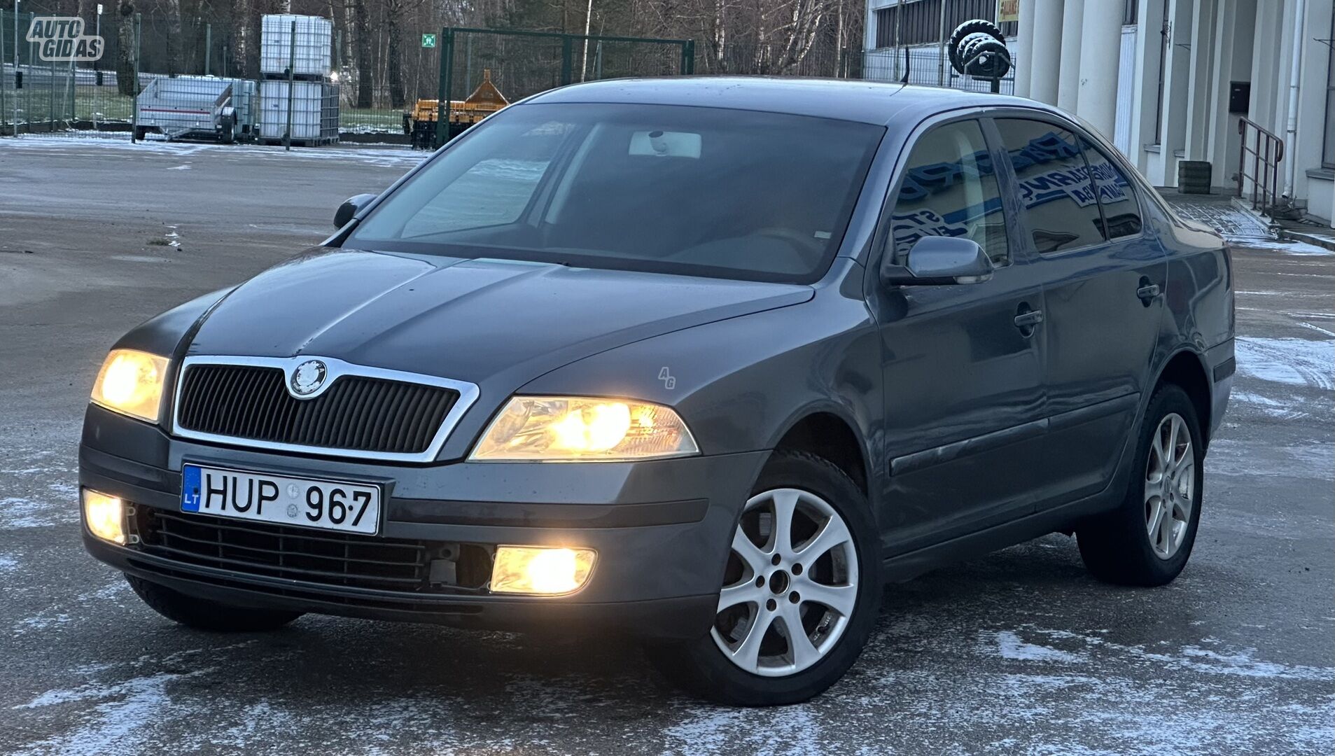 Skoda Octavia 2004 m Hečbekas