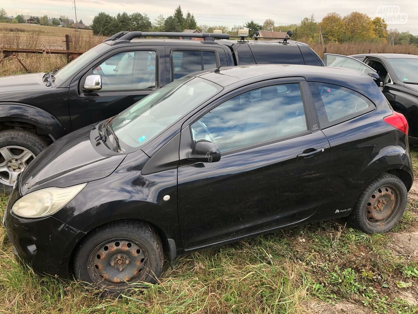 Ford Ka 2010 y Hatchback