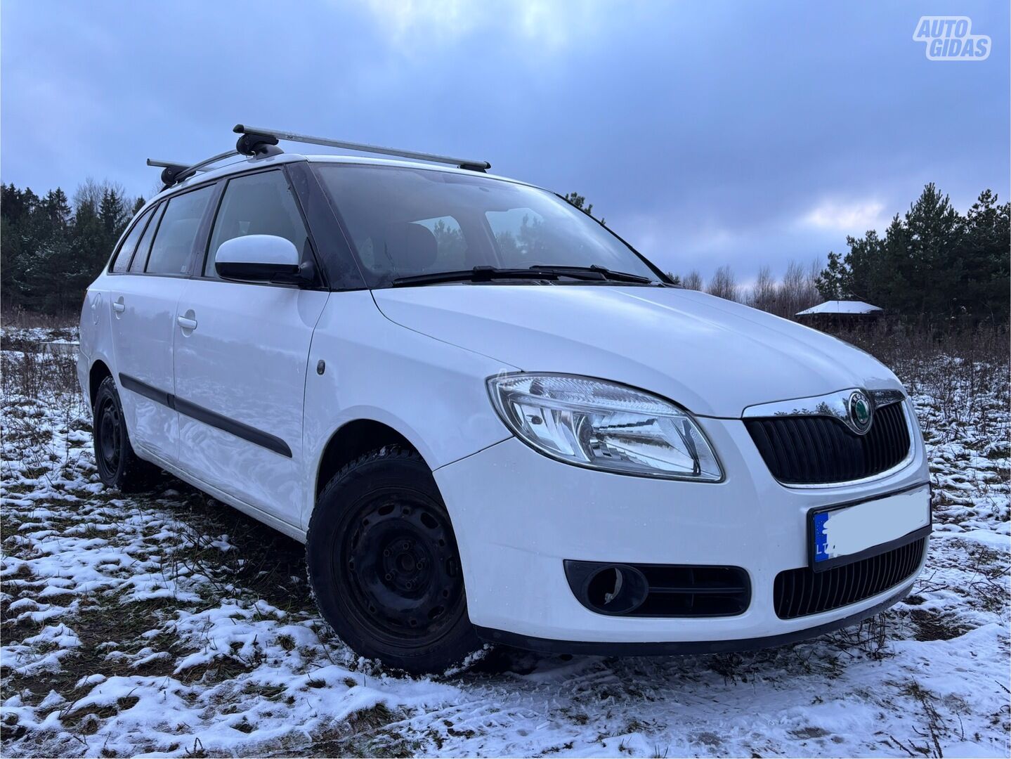 Skoda Fabia TDI 2010 г