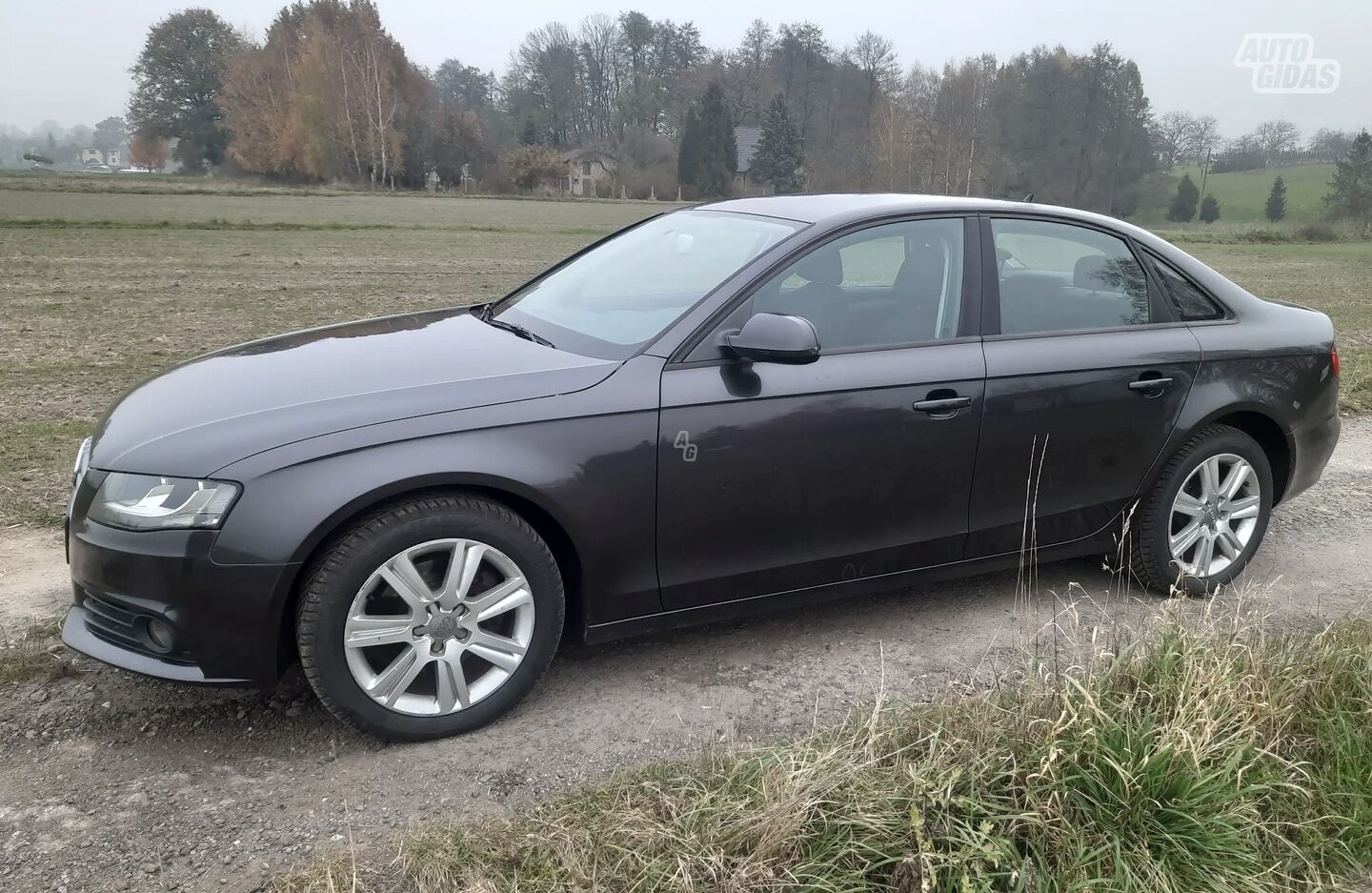 Audi A4 2010 y Sedan