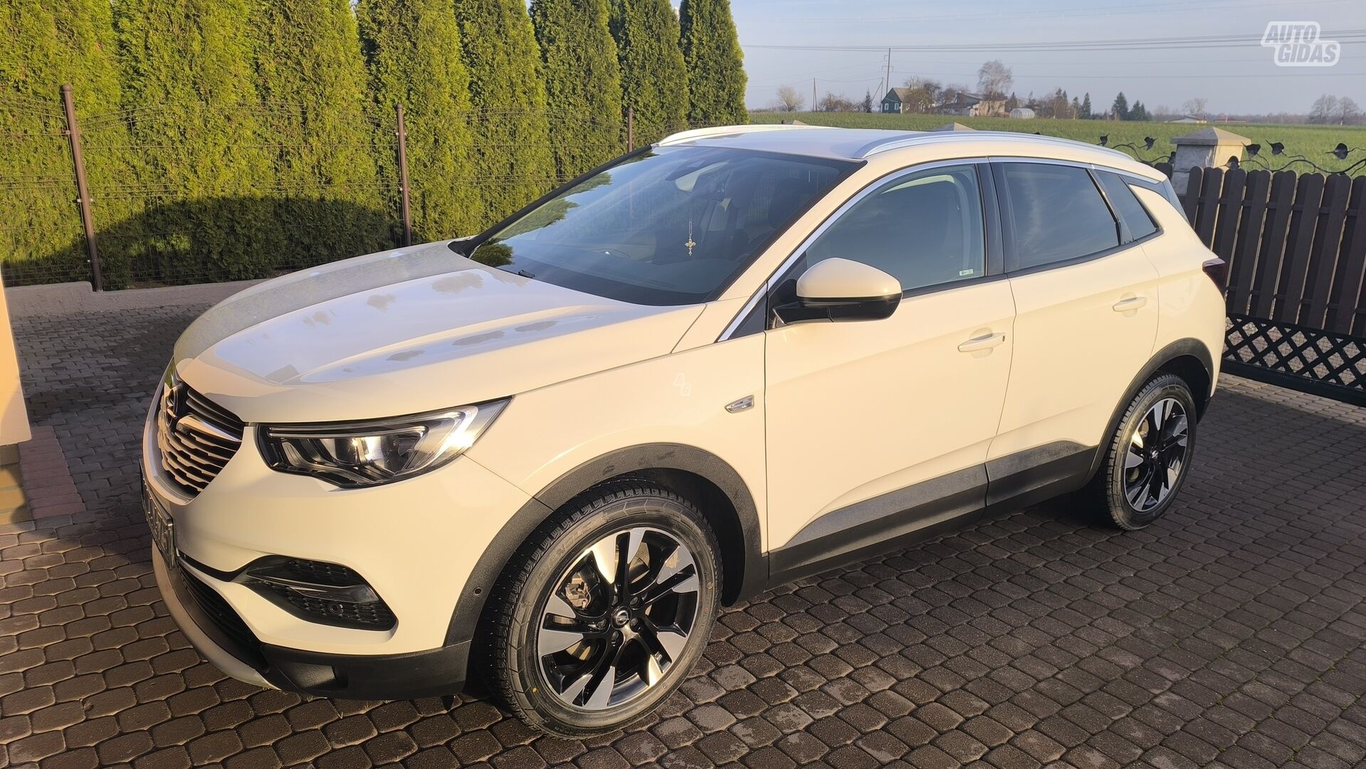 Opel Grandland X 2018 m Visureigis / Krosoveris