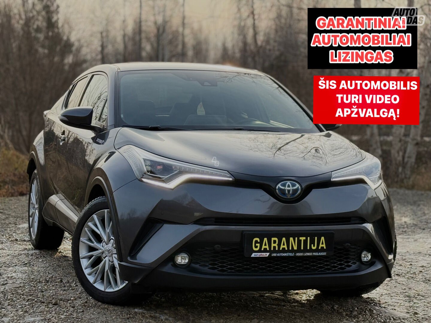 Toyota C-HR 2019 г Внедорожник / Кроссовер