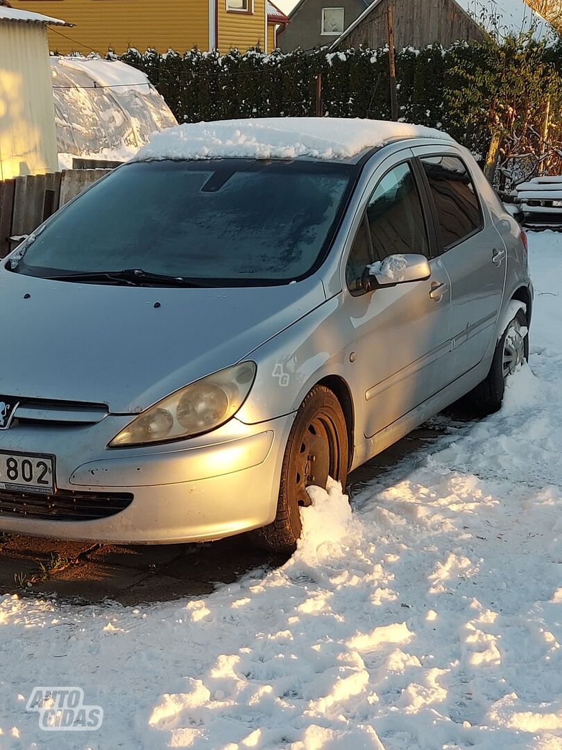 Peugeot 307 2002 m Hečbekas