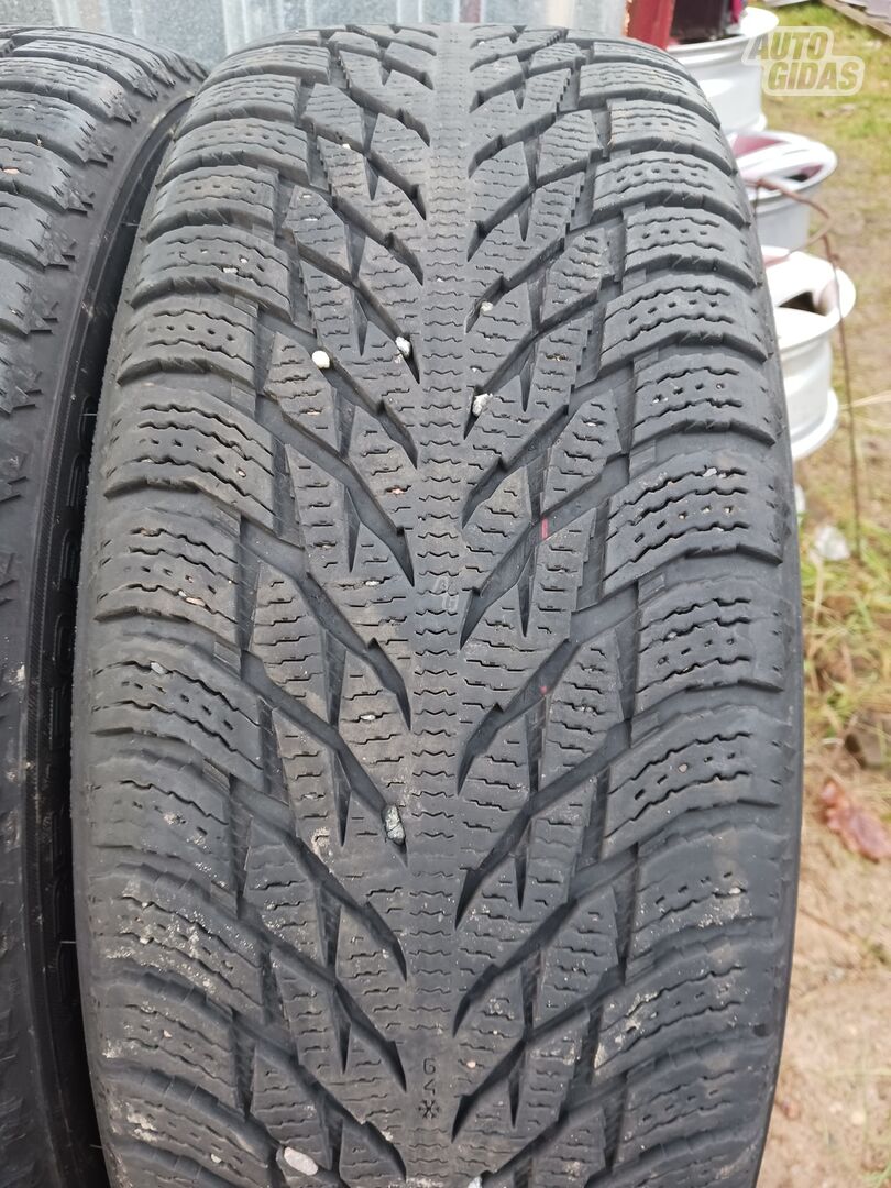 Nokian R20 зимние шины для автомобилей