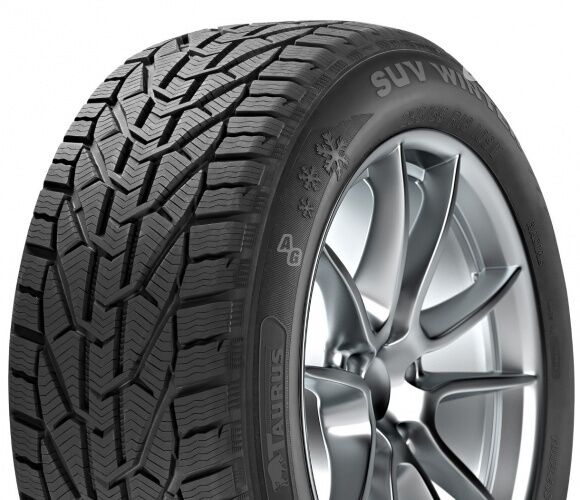 Taurus Taurus Winter (Rim F R18 winter tyres passanger car