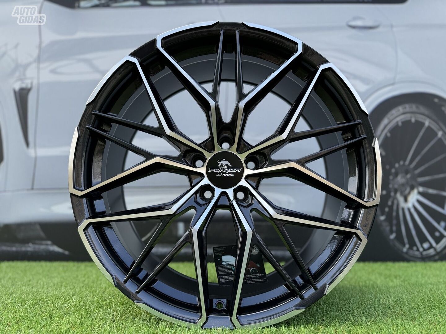 Forzza Forzza Stone BMW, Audi, VW light alloy R20 rims