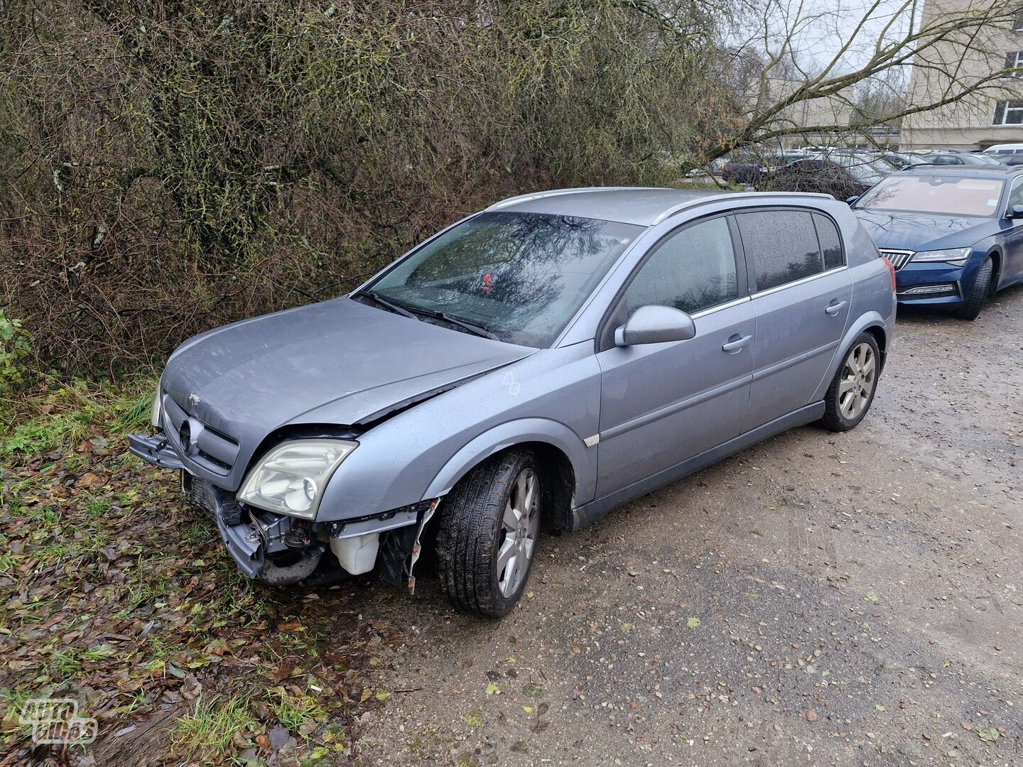 Opel Signum 2003 y Hatchback