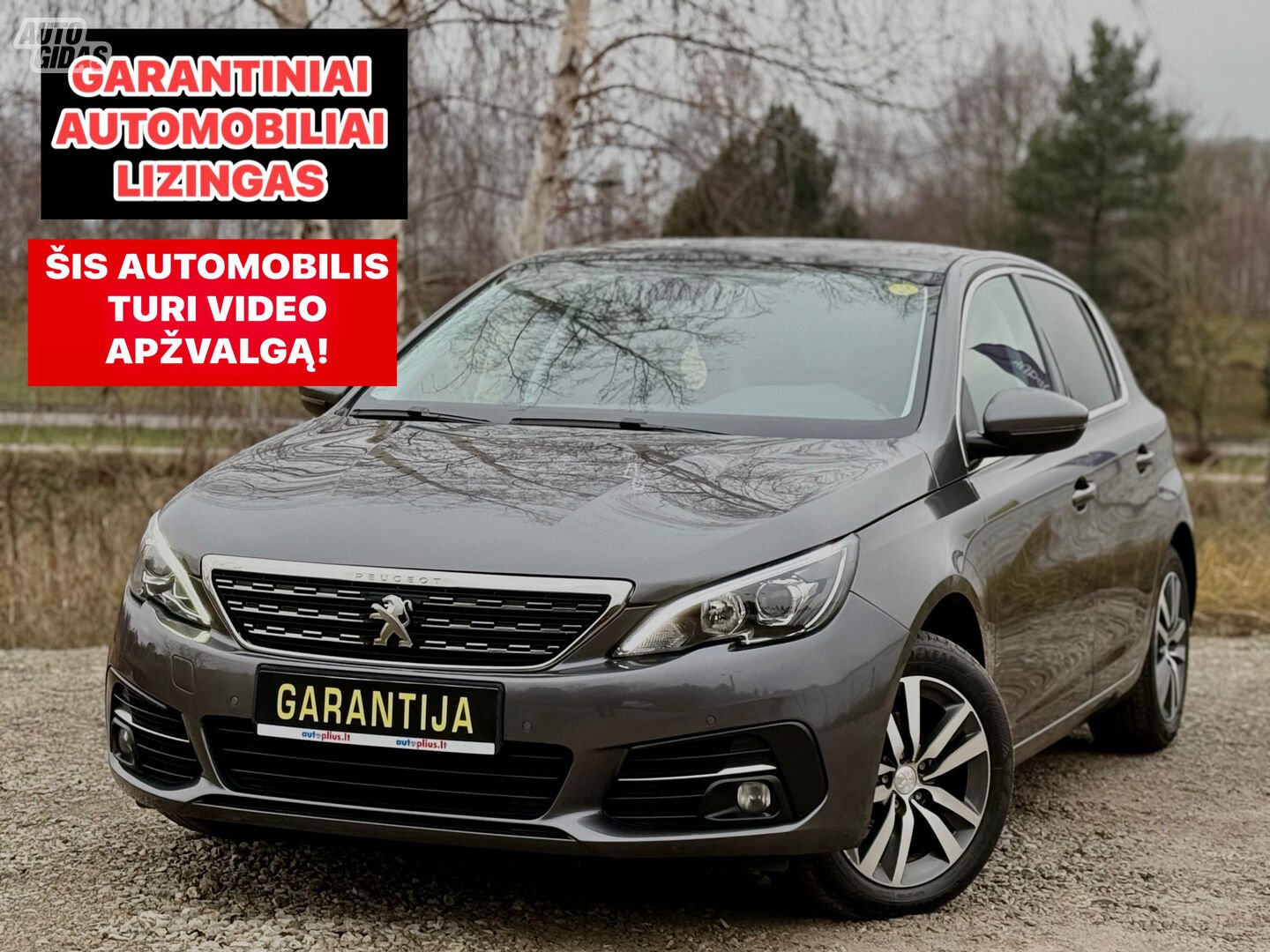 Peugeot 308 2019 y Hatchback