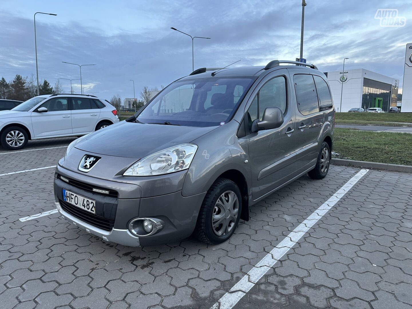 Peugeot Partner 2009 y Van