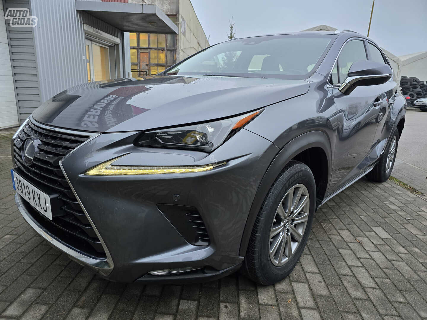 Lexus NX 300h 2019 y Off-road / Crossover