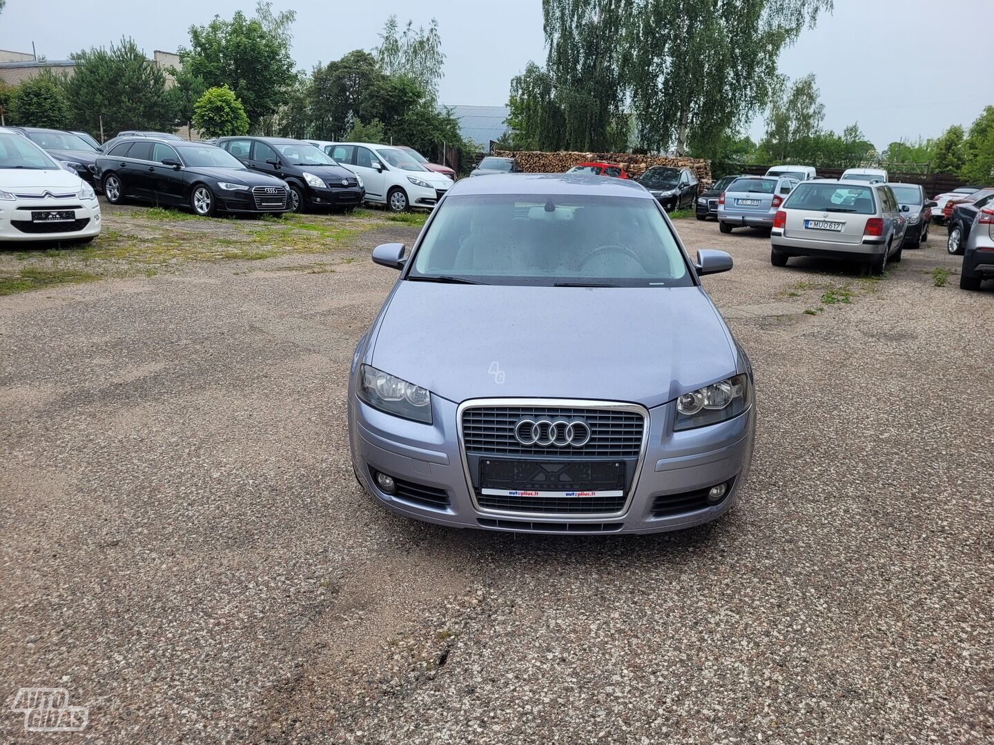 Audi A3 8P TDI 2008 m