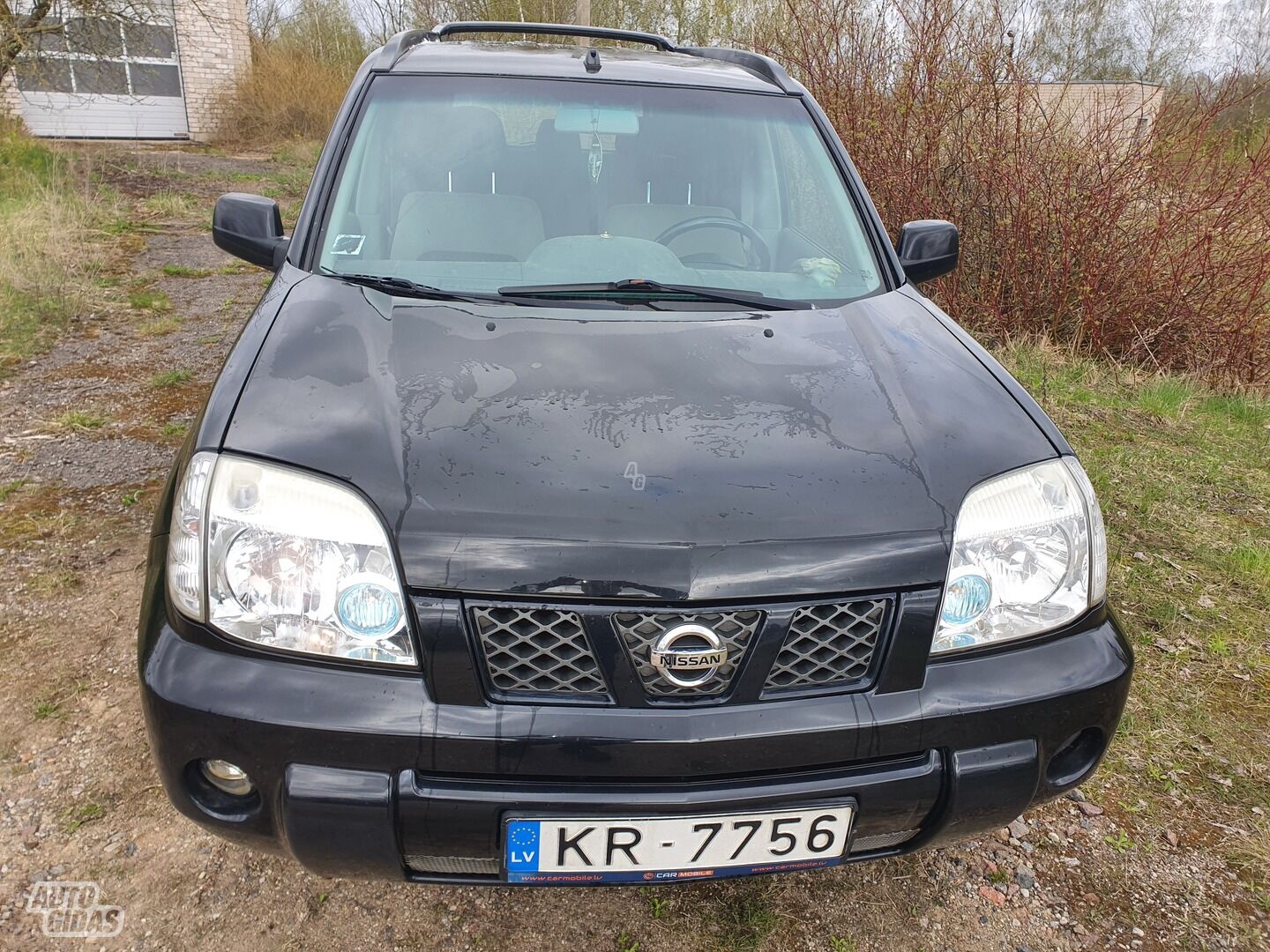 Nissan X-Trail 2003 г Внедорожник / Кроссовер