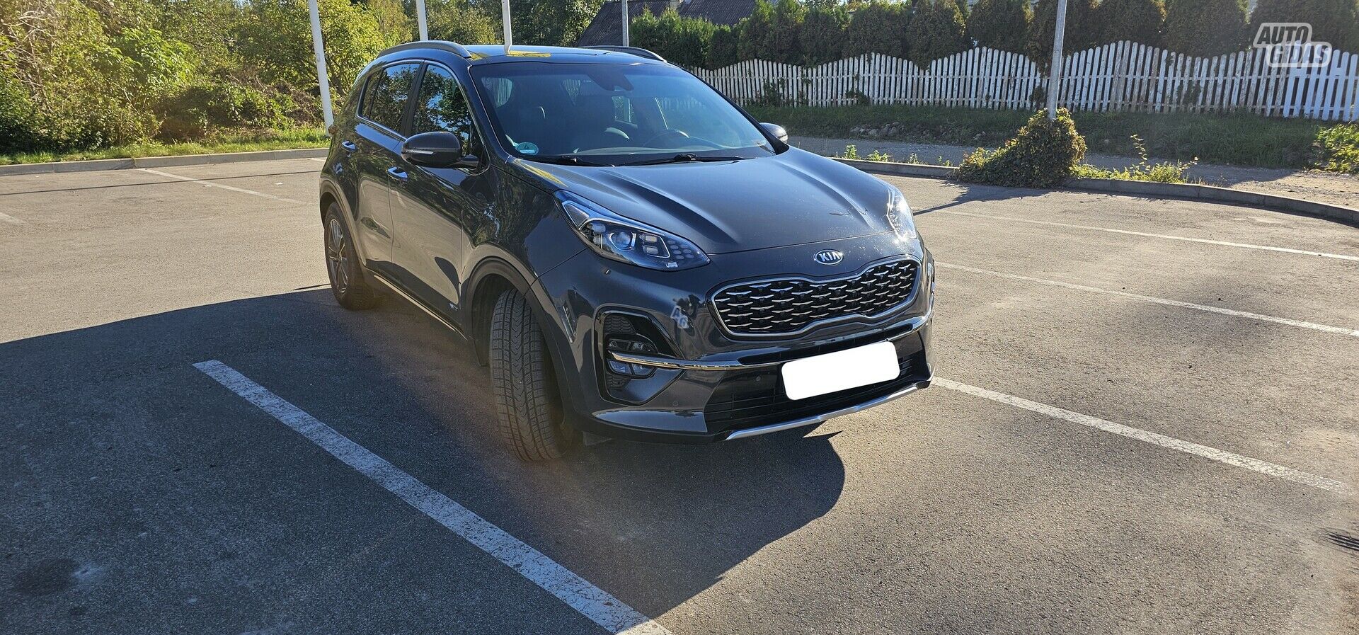 Kia Sportage 2021 m Visureigis / Krosoveris