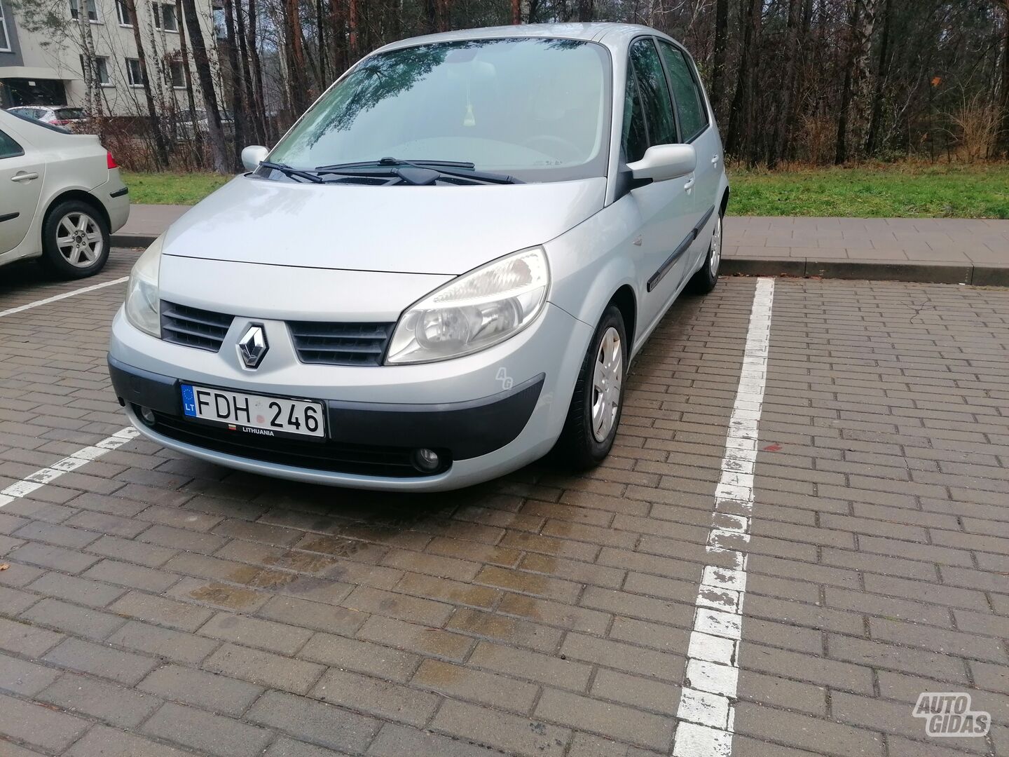 Renault Scenic 2004 m Vienatūris