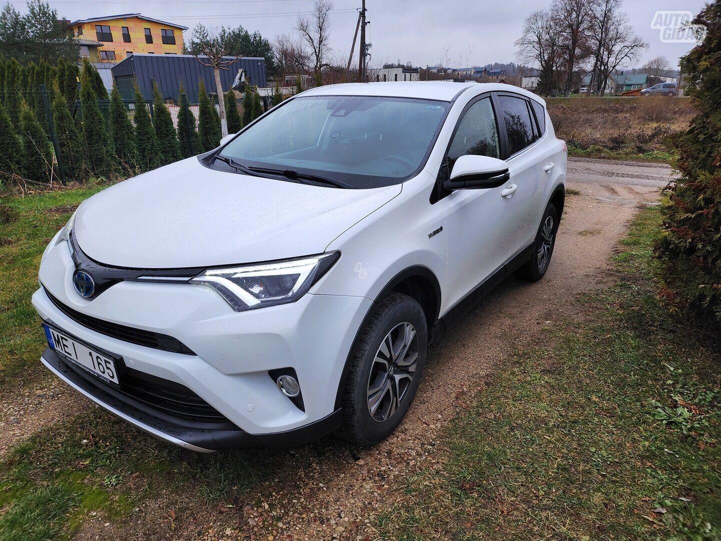 Toyota RAV4 13318 2016 y