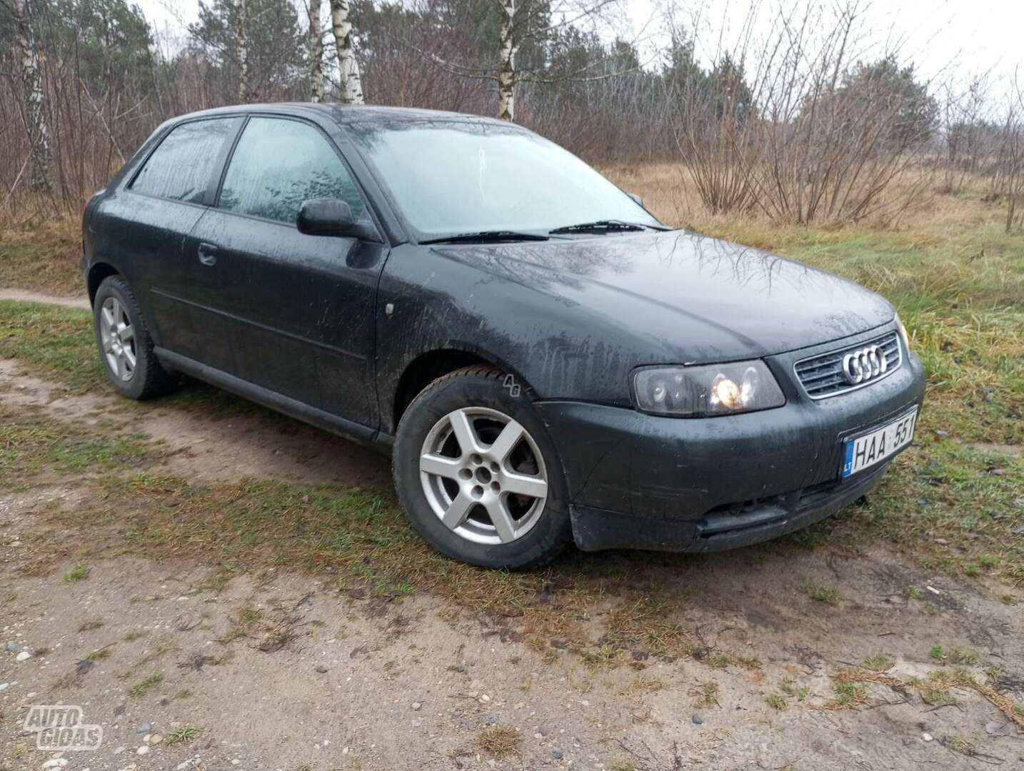 Audi A3 1998 m Hečbekas