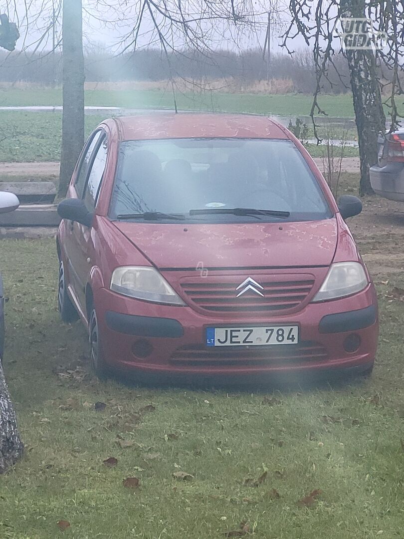 Citroen C3 I 2003 m dalys