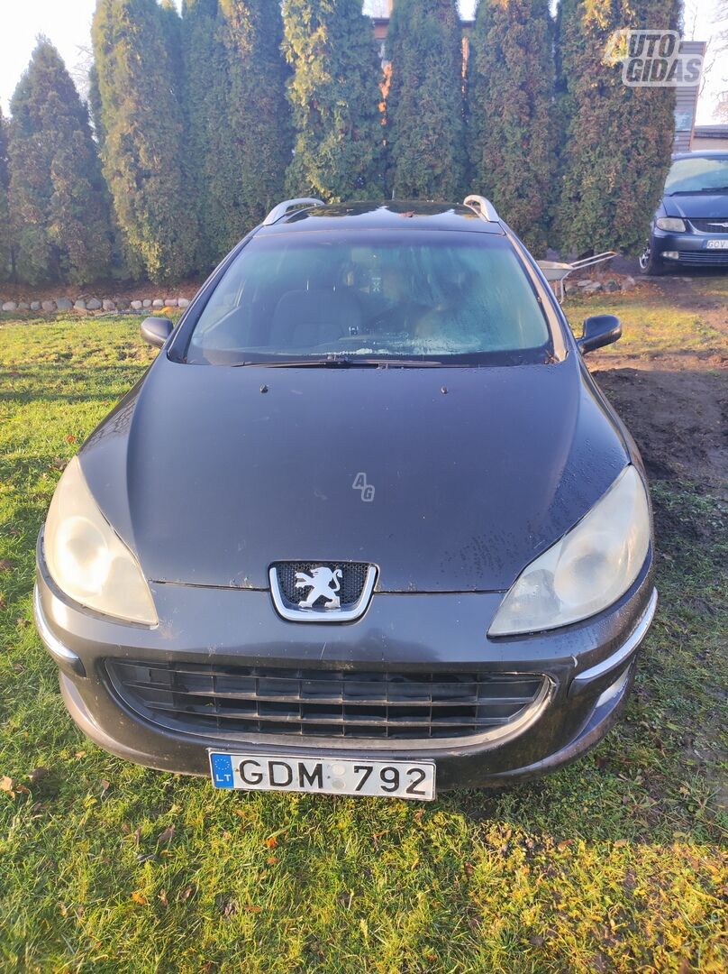 Peugeot 407 2005 y Wagon