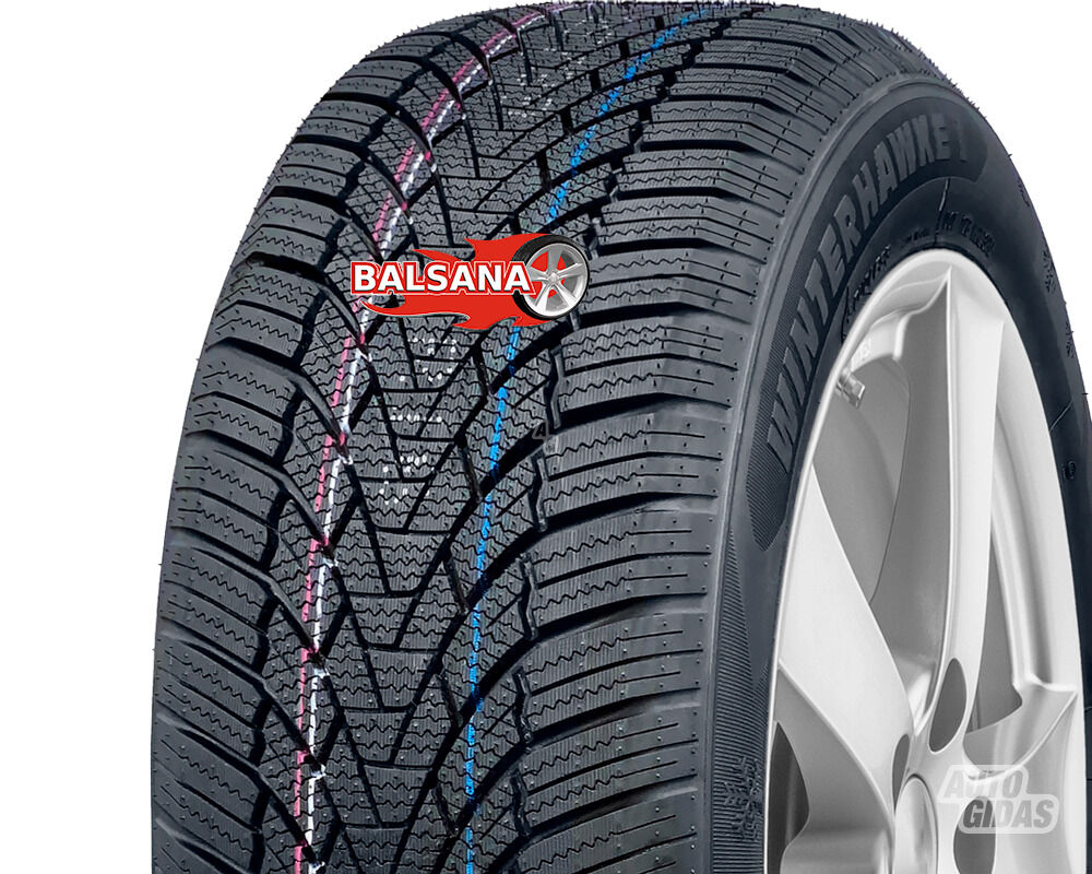 ZMAX WINTERHAWKE I ( R16 winter tyres passanger car