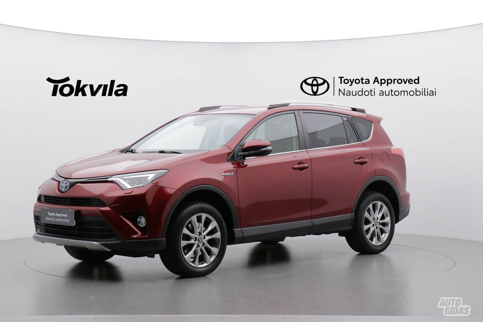 Toyota RAV4 2019 m Visureigis / Krosoveris