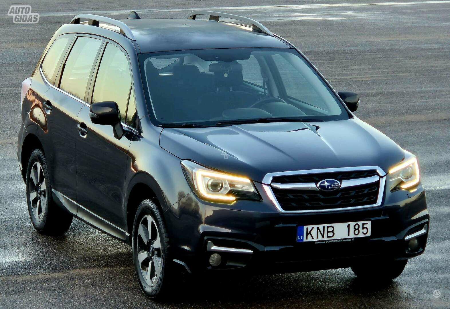 Subaru Forester 2018 y Off-road / Crossover